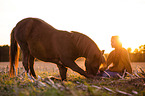 girl and German Riding Pony