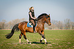 woman rides German Riding Pony