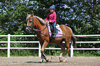 girl rides German Riding Pony