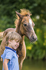 German Riding Pony with a child