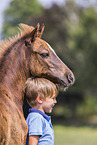 German Riding Pony with a child