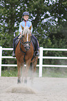 girl rides German Riding Pony