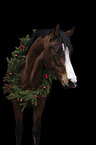 horse with christmas decoration