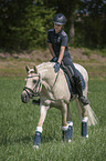 girl rides German Riding Pony