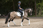 girl rides German Riding Pony