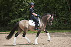 girl rides German Riding Pony