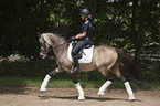 girl rides German Riding Pony