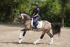 girl rides German Riding Pony