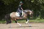 girl rides German Riding Pony