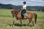 young woman rides German Riding Pony