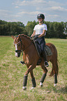 young woman rides German Riding Pony