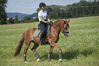 young woman rides German Riding Pony