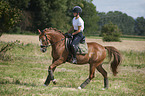 young woman rides German Riding Pony