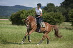 young woman rides German Riding Pony