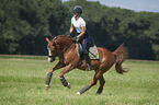 young woman rides German Riding Pony