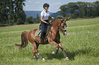 young woman rides German Riding Pony