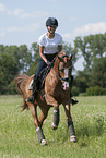 young woman rides German Riding Pony