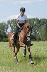 young woman rides German Riding Pony