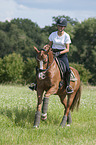 young woman rides German Riding Pony