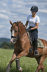 young woman rides German Riding Pony