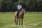 young woman rides German Riding Pony