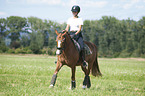 young woman rides German Riding Pony