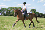 young woman rides German Riding Pony