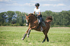 young woman rides German Riding Pony