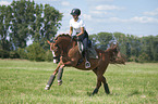 young woman rides German Riding Pony