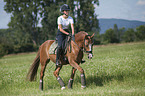 young woman rides German Riding Pony