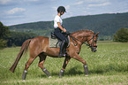 young woman rides German Riding Pony