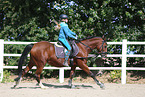 woman rides German Riding Pony