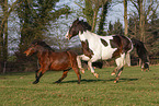 2 galloping horses