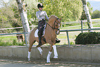 woman rides German Riding Pony