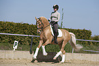 woman rides German Riding Pony