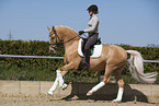 woman rides German Riding Pony