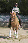 woman rides German Riding Pony