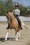 woman rides German Riding Pony