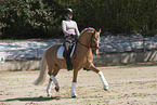 woman rides German Riding Pony