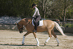 woman rides German Riding Pony