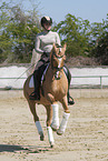 woman rides German Riding Pony