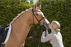 German Riding Pony Portrait