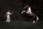 woman and German Riding Pony