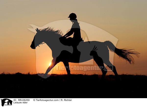 Reiter im Sonnenuntergang / Leisure rider / RR-08269