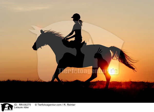 Reiter im Sonnenuntergang / Leisure rider / RR-08270