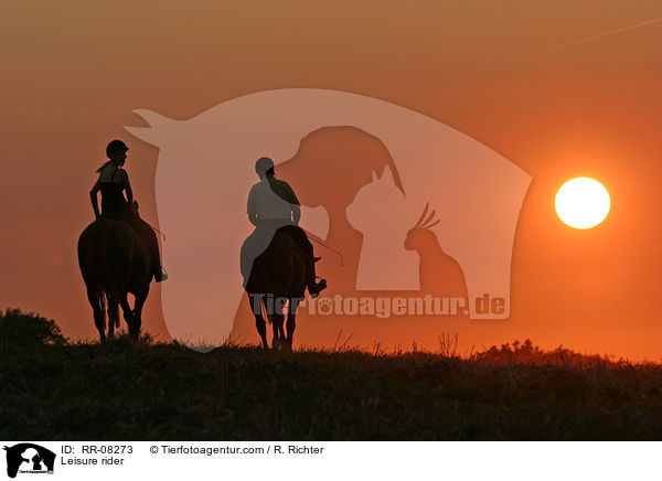 Reiter im Sonnenuntergang / Leisure rider / RR-08273