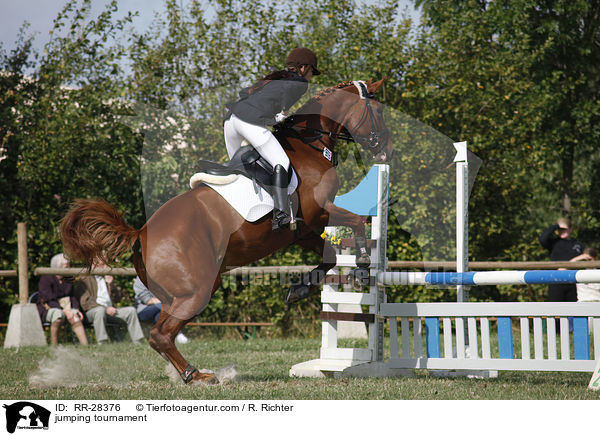 jumping tournament / RR-28376