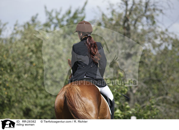 Reiterin auf Deutschem Sportpferd / riding woman / RR-28382