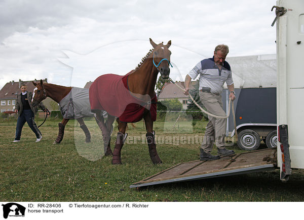 Pferde verladen / horse transport / RR-28406