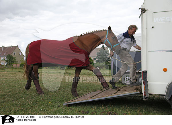 Pferde verladen / horse transport / RR-28408